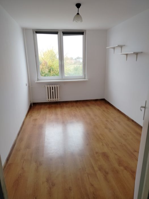 Mieszkanie 38 m2, 2 pokoje. Wynajem.
