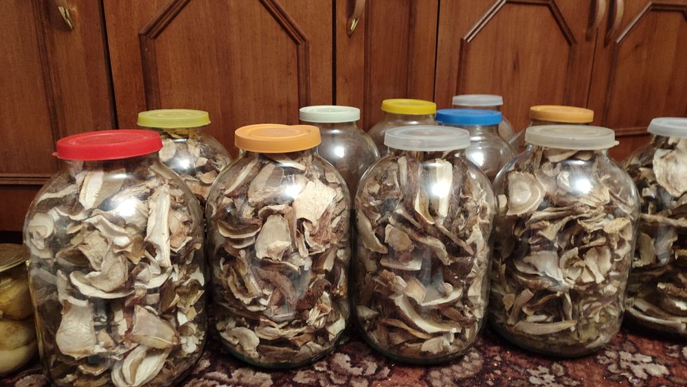 Сушені білі гриби