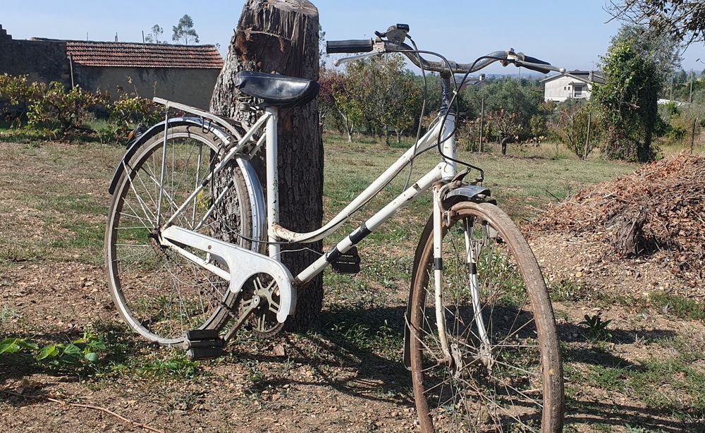 50€ cada bicicleta