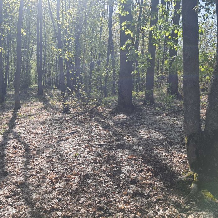 Земельный участок Цена 500$ за сотку