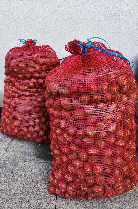 Nozes biológicas kg