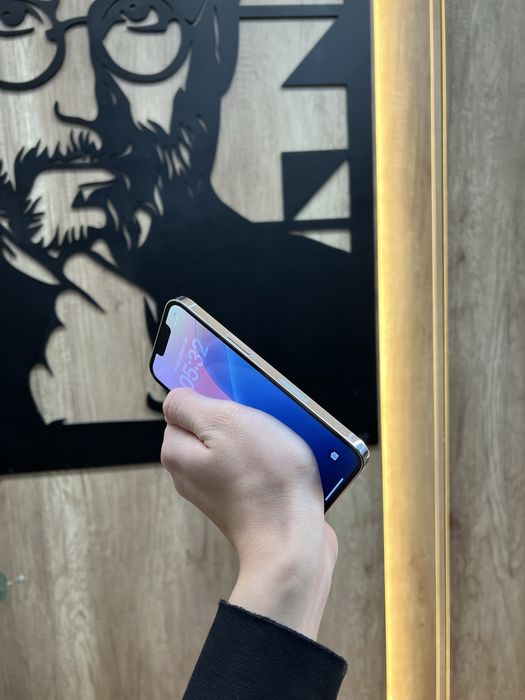 IPhone 13 Pro 128gb Silver Костюшка 5