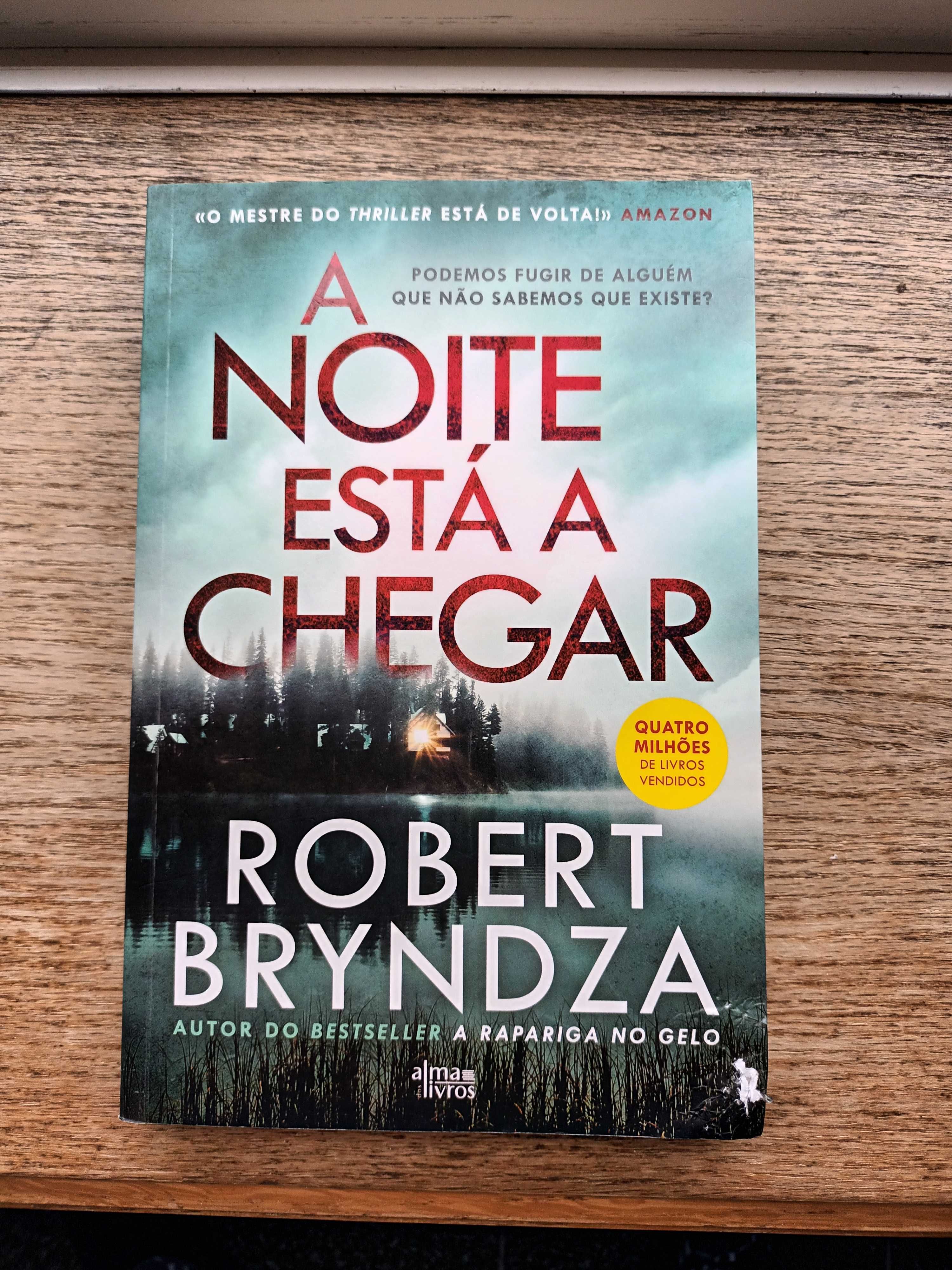 "A Rapariga no Gelo"/Robert Bryndza +7 -  Oferta Portes!