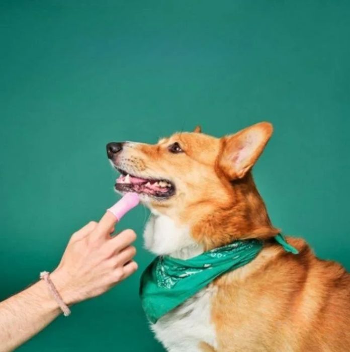 Szczoteczka do zębów DDOXX, na palec, silikonowa 4 sztuki dla psa kota