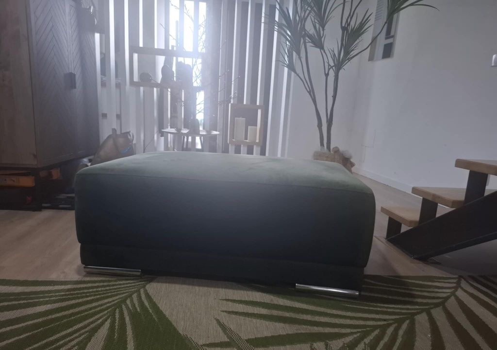 Chaise longue / planta artificial