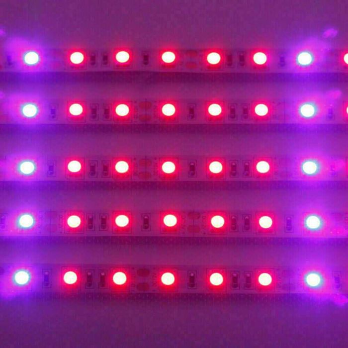 LED Grow Strip Lights 5Pcs 25W- Fitas led para iluminação de plantas