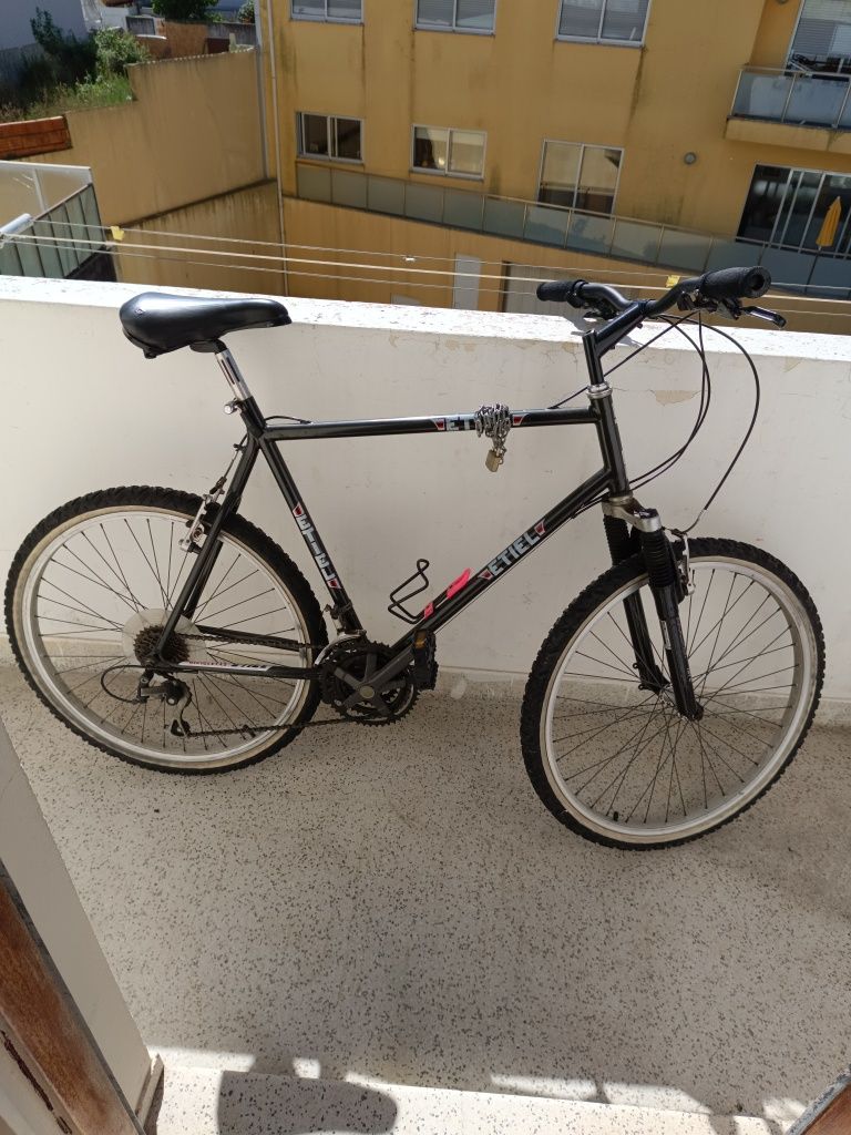 Bicicleta Etiel aro 26