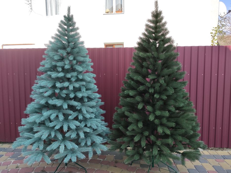 Лита ялинка Буковельська 1,5м - 2,5 м