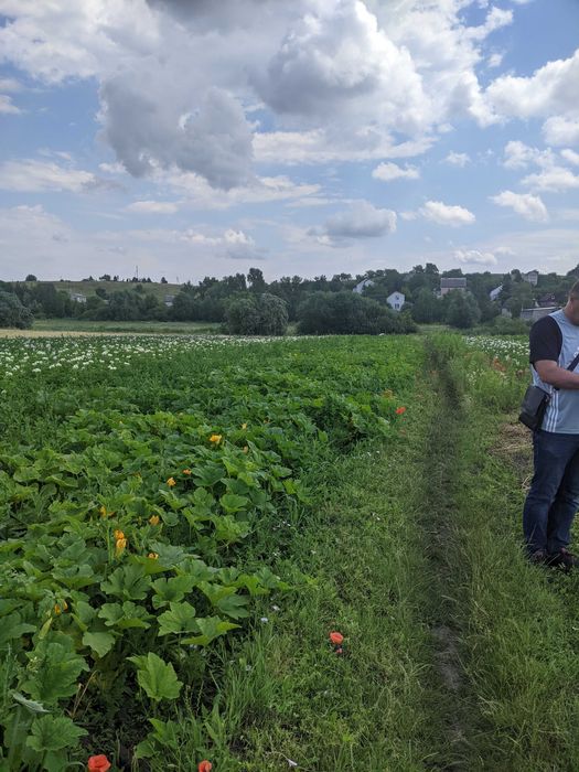 Продам  земельну ділянку біля Рівного