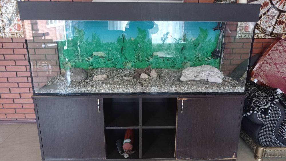 Продам акваріум ний набір