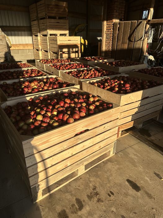 Skrzyniopalety skrzynie na owoce i warzywa