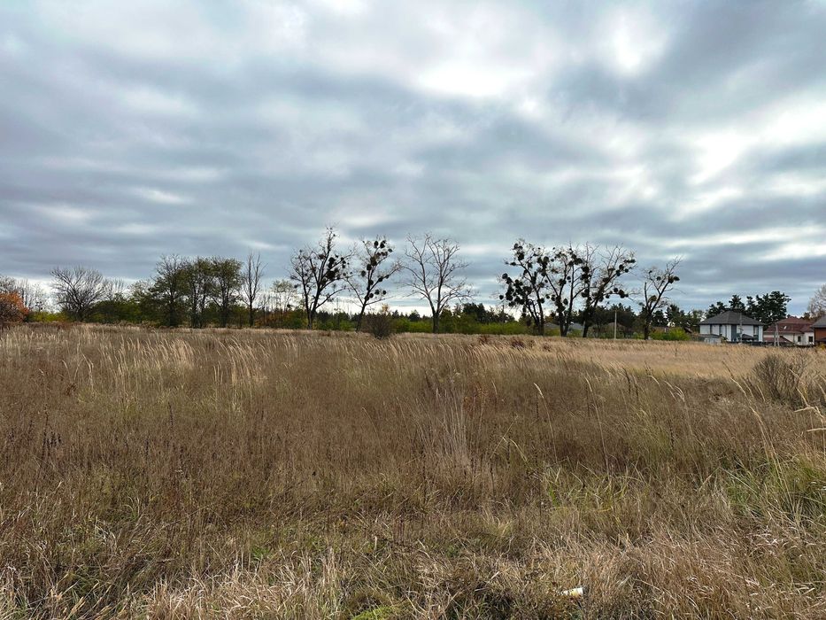 Продаються 4 земельні ділянки поруч — загальна площа 55 соток!