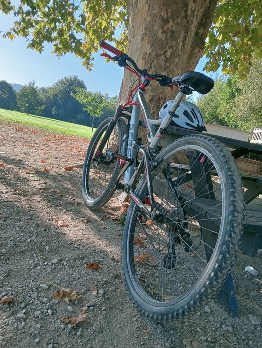 Bicicleta Berg sportcross