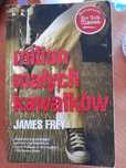 Milion małych kawałków James Frey