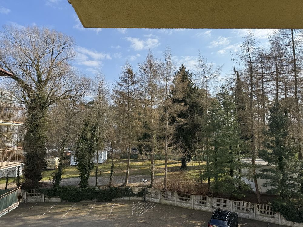 Apartament z cudownym widokiem na las