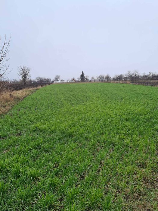 Продаж землі, с.г призначеня