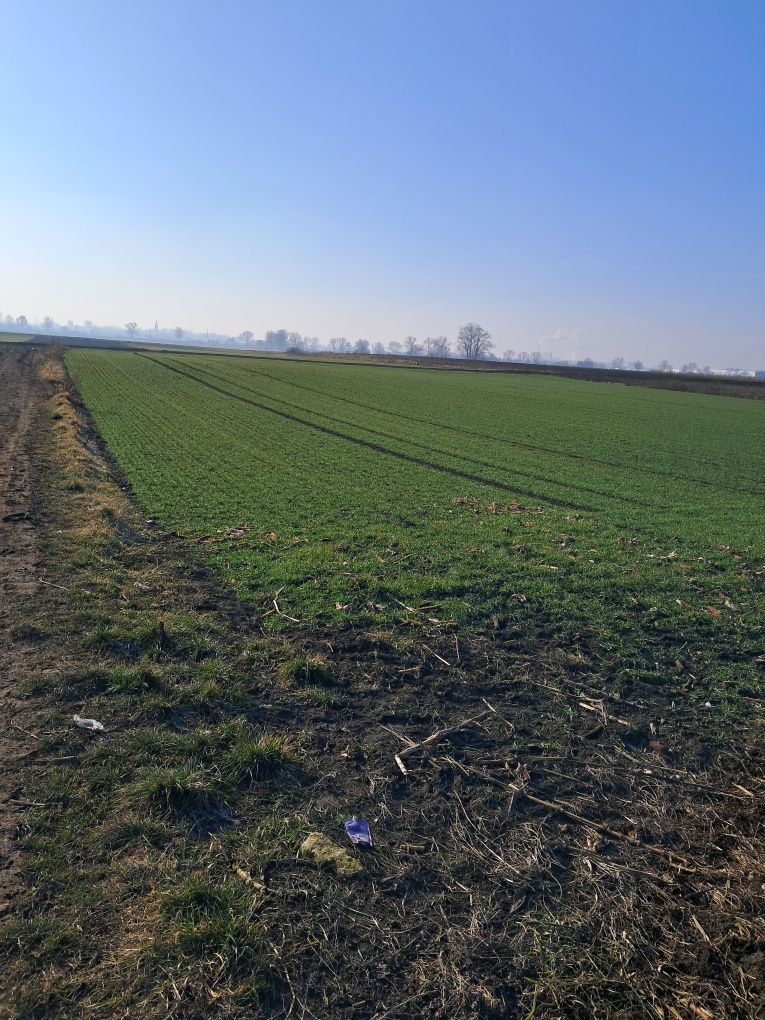 Działka na sprzedaż