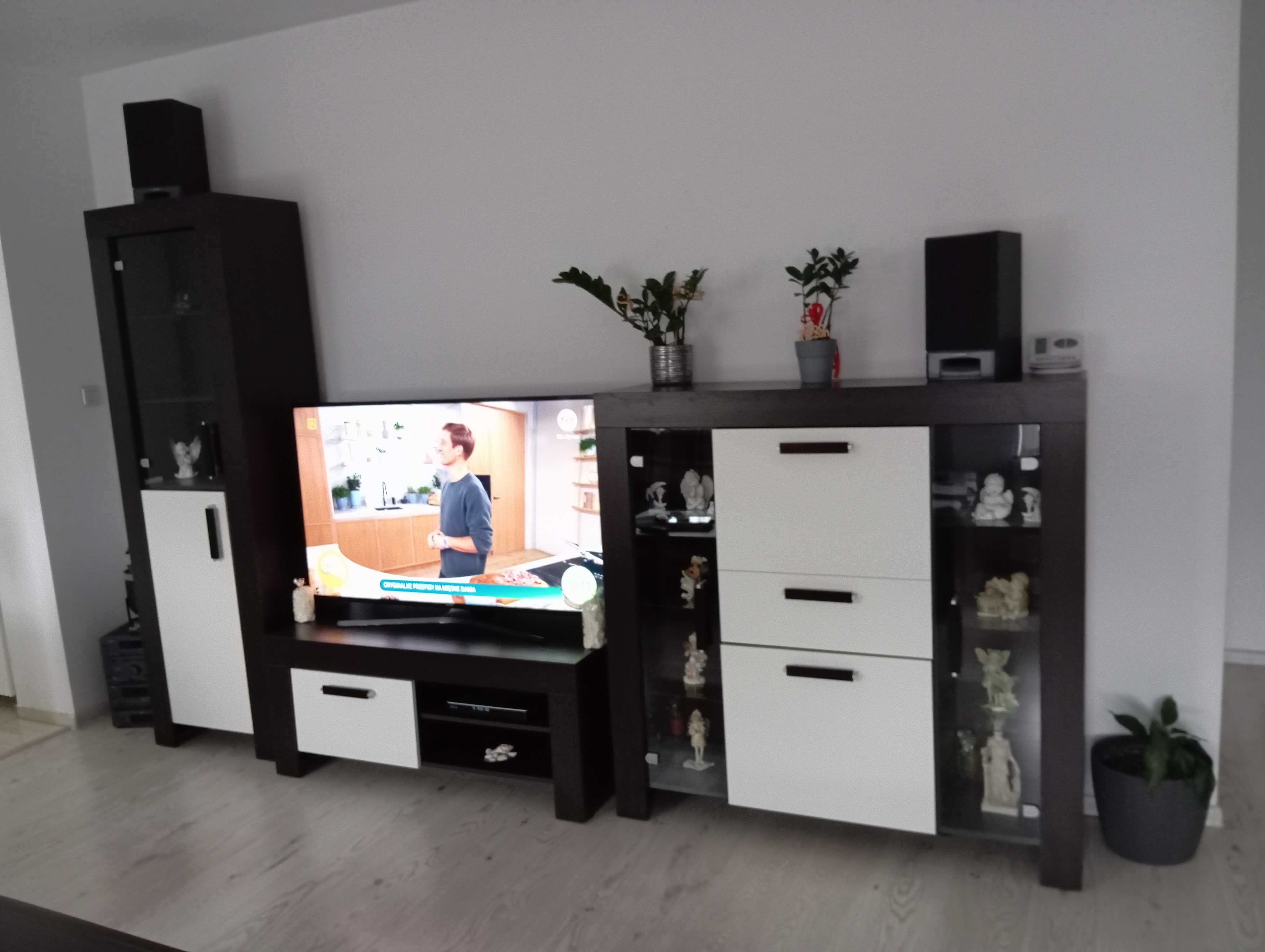Komplet mebli do salonu