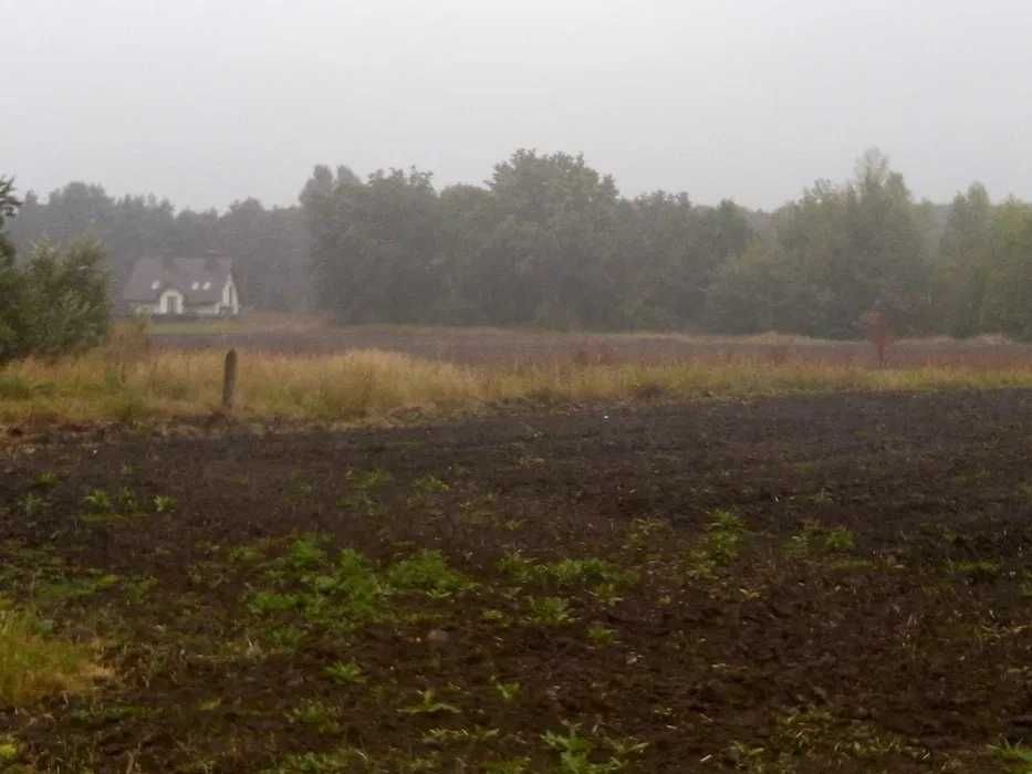 Земельна ділянка, Ватажкове