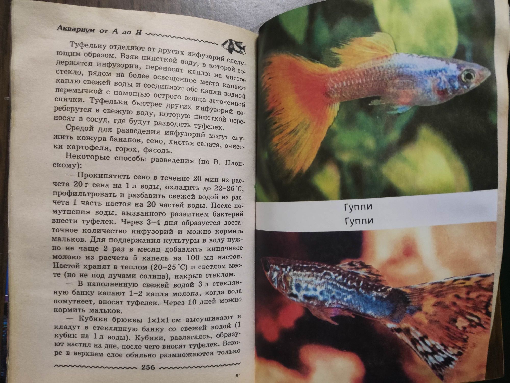 Аквариум от а до Я