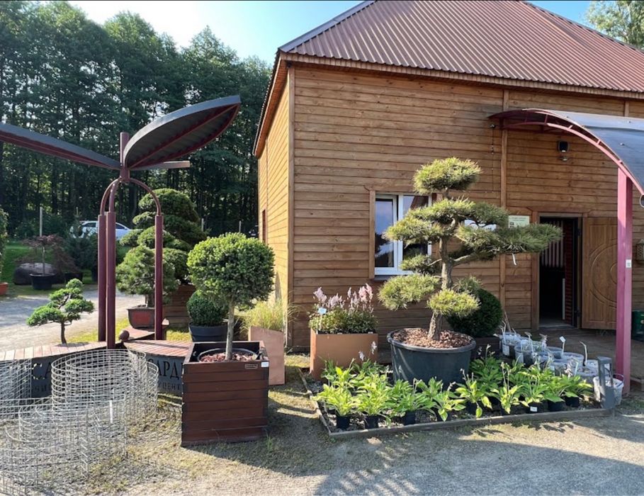 Оренда комерційного приміщення+земельна ділянка