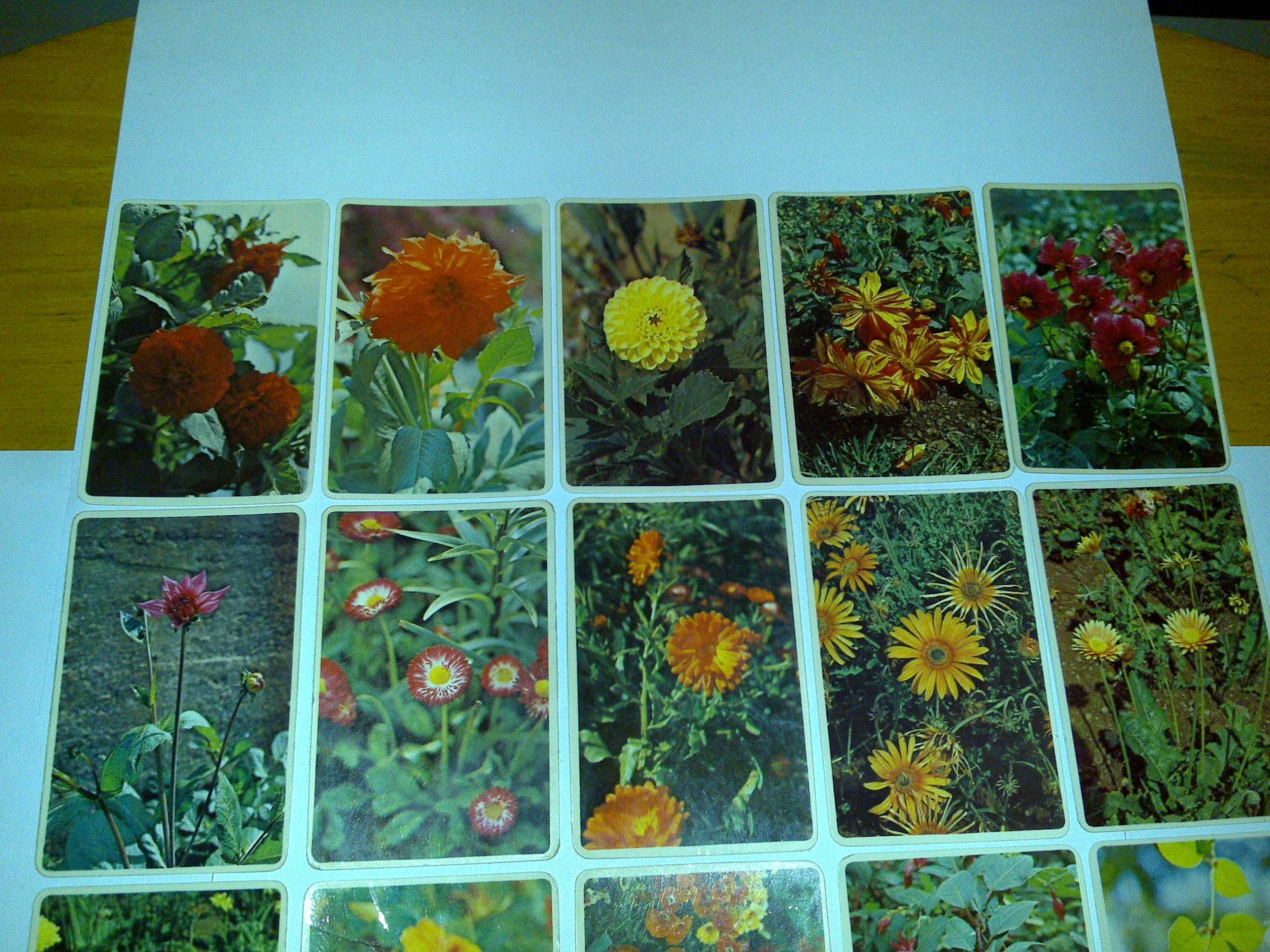 flores - coleção primavera (100 calendários) 1985 rara