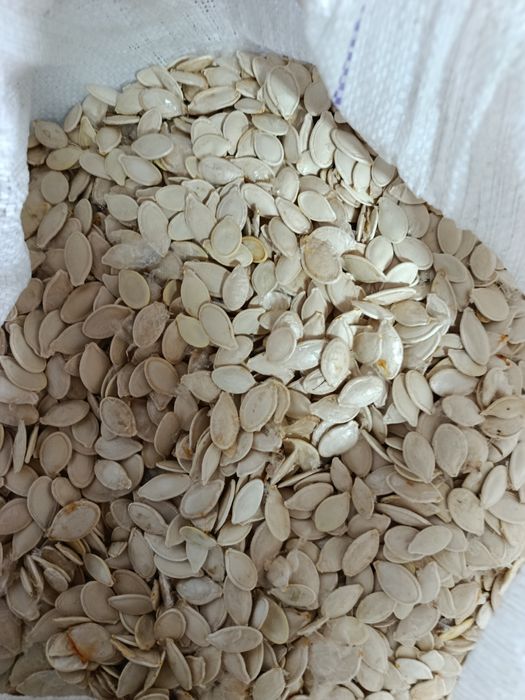 Гарбузова олія насіння