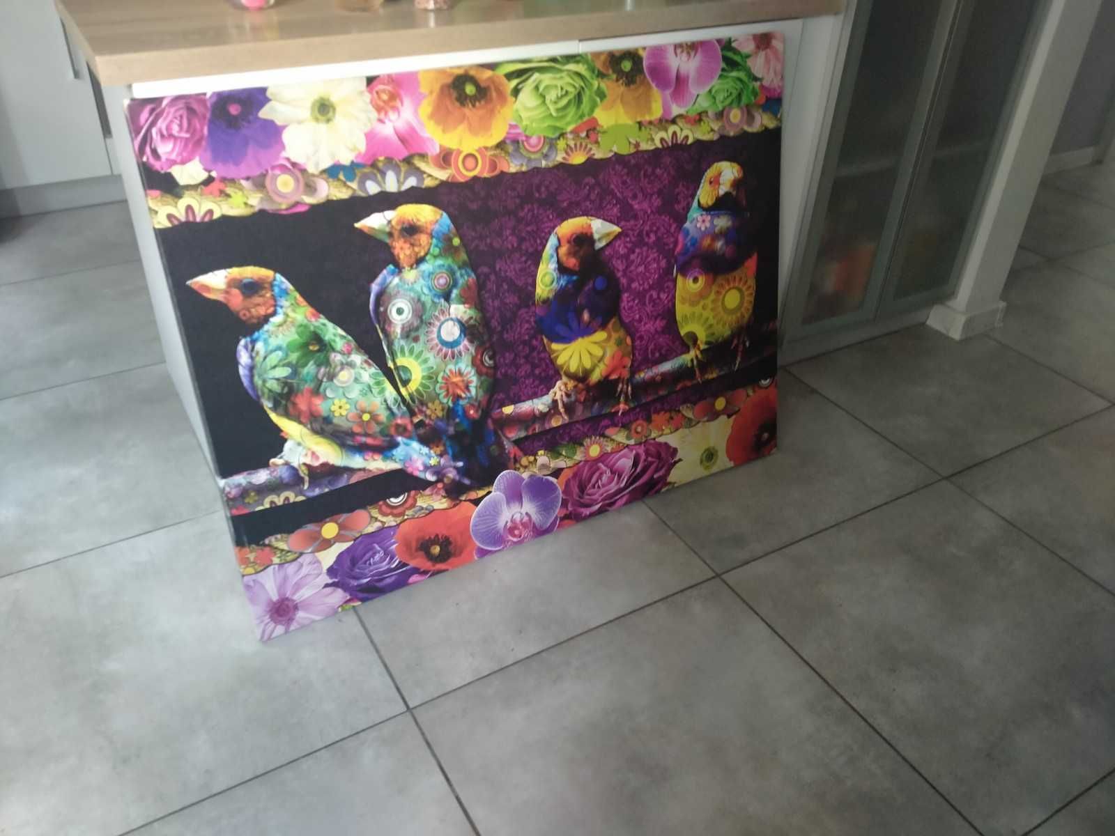 Obraz duży ptaki kolorowy 85x113 płótno