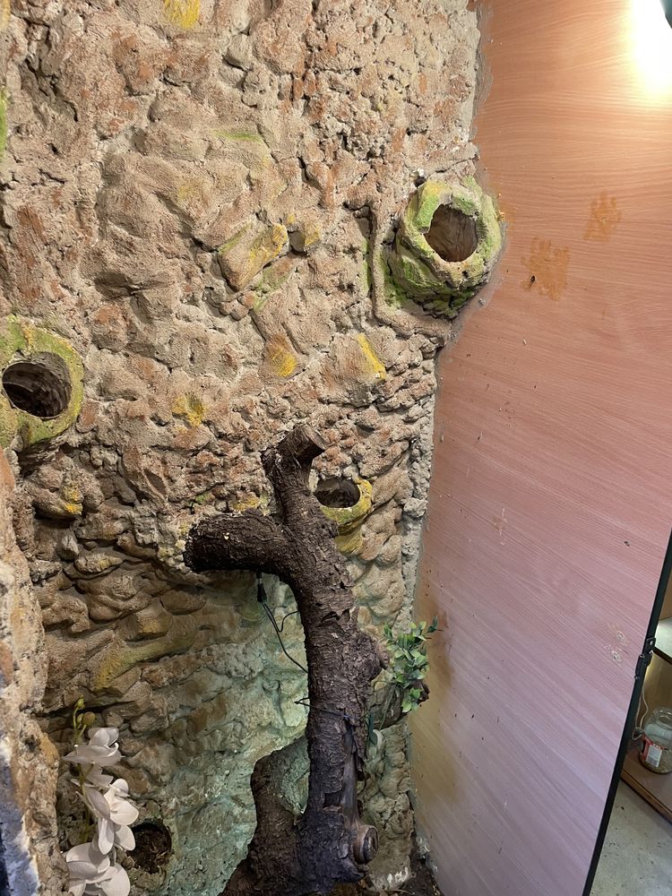 Terrarium duże kameleon iguana agama gekon