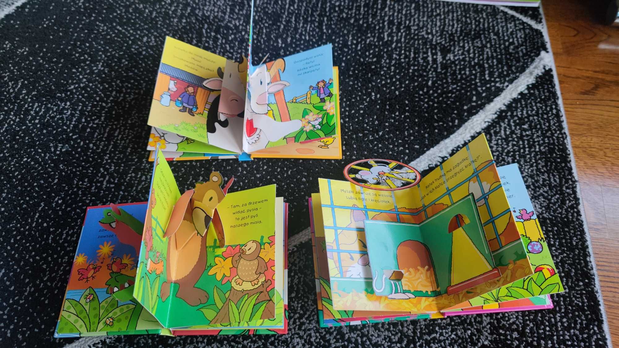 Zwierzaki w zagrodzie zoo domu zestaw książek dla dzieci