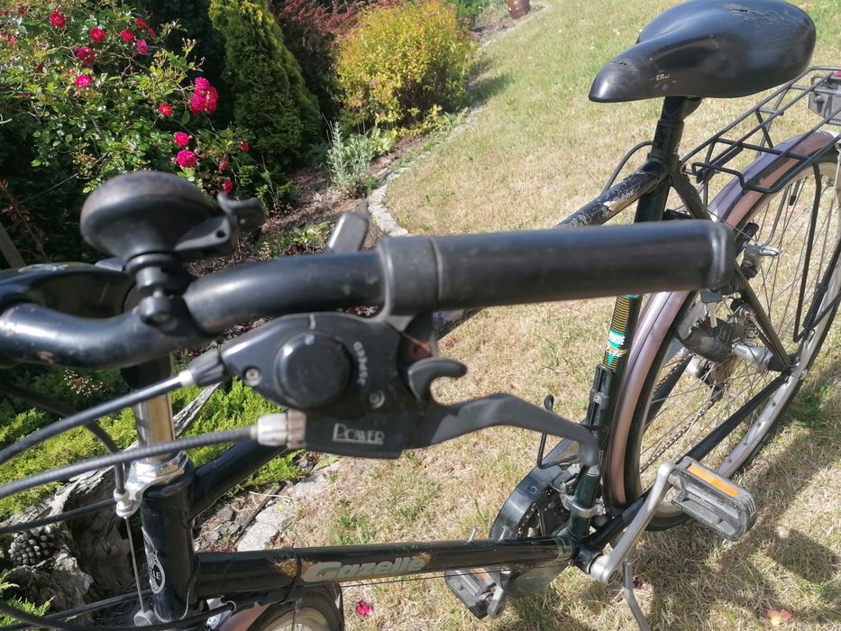 Gazelle Medeo rower męski