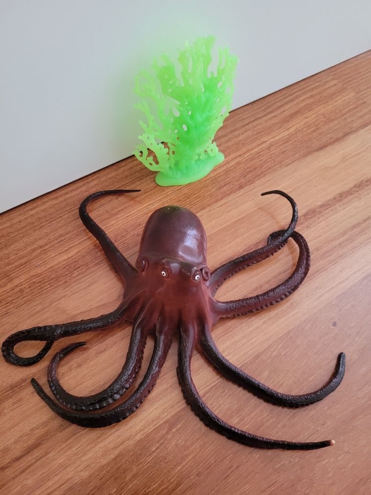 Conjunto de Animais marinhos