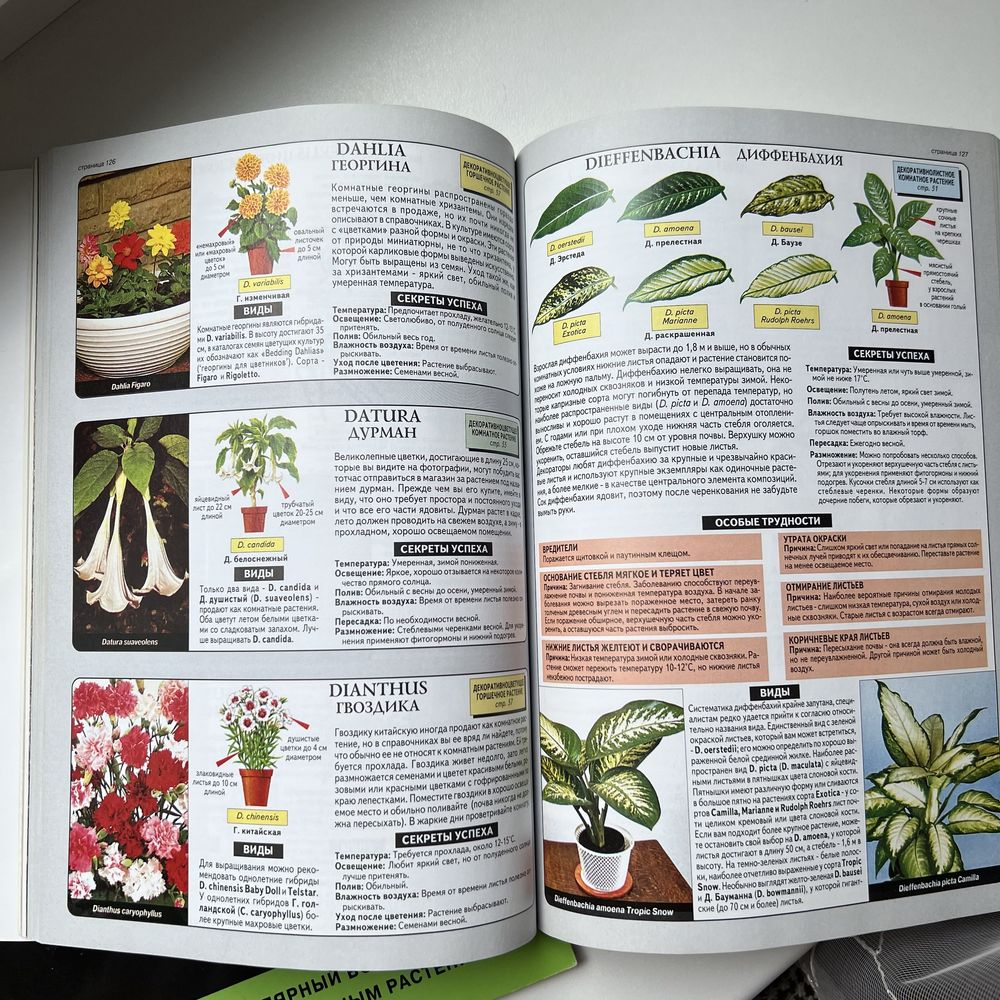 Книга «всё о комнатных растениях» Хессайон