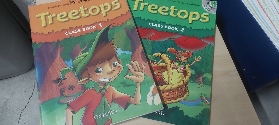 Livro Fichas e Manuais Escolares 1º Ano