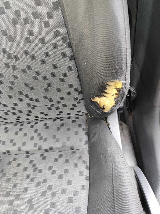 Skoda Fabia 1.4 benzyna + LPG | 2005 | 178 213 km