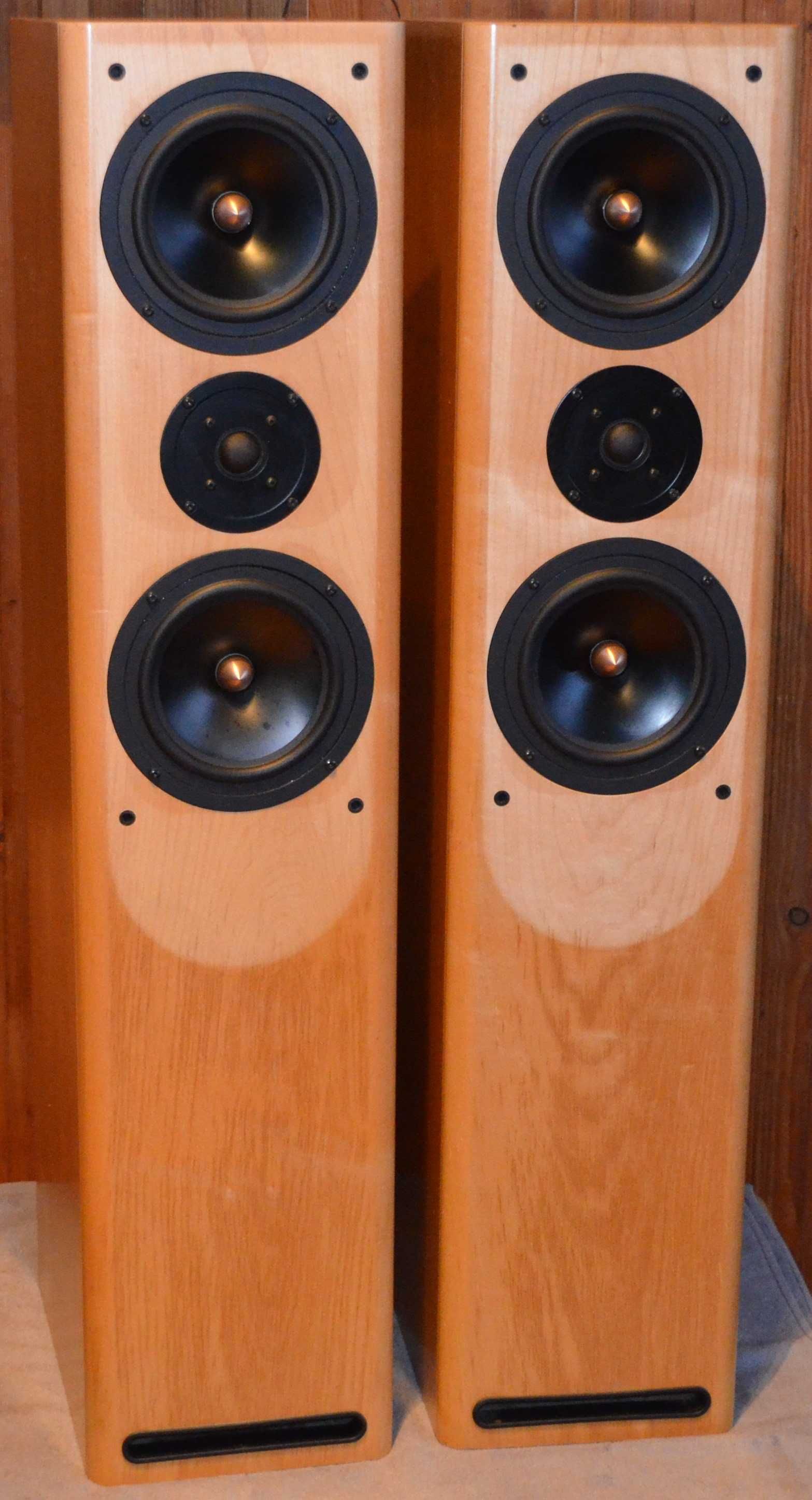 ASW Cantius V  Niemieckie Kolumny podłogowe 200w