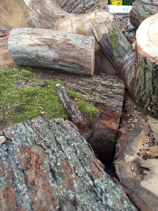 Drewno opałowe i kominkowe