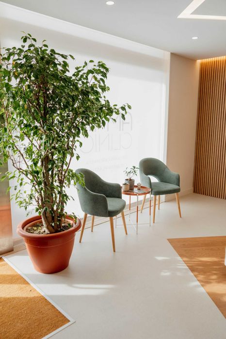 Trespasse Clinica Medico-cirurgica