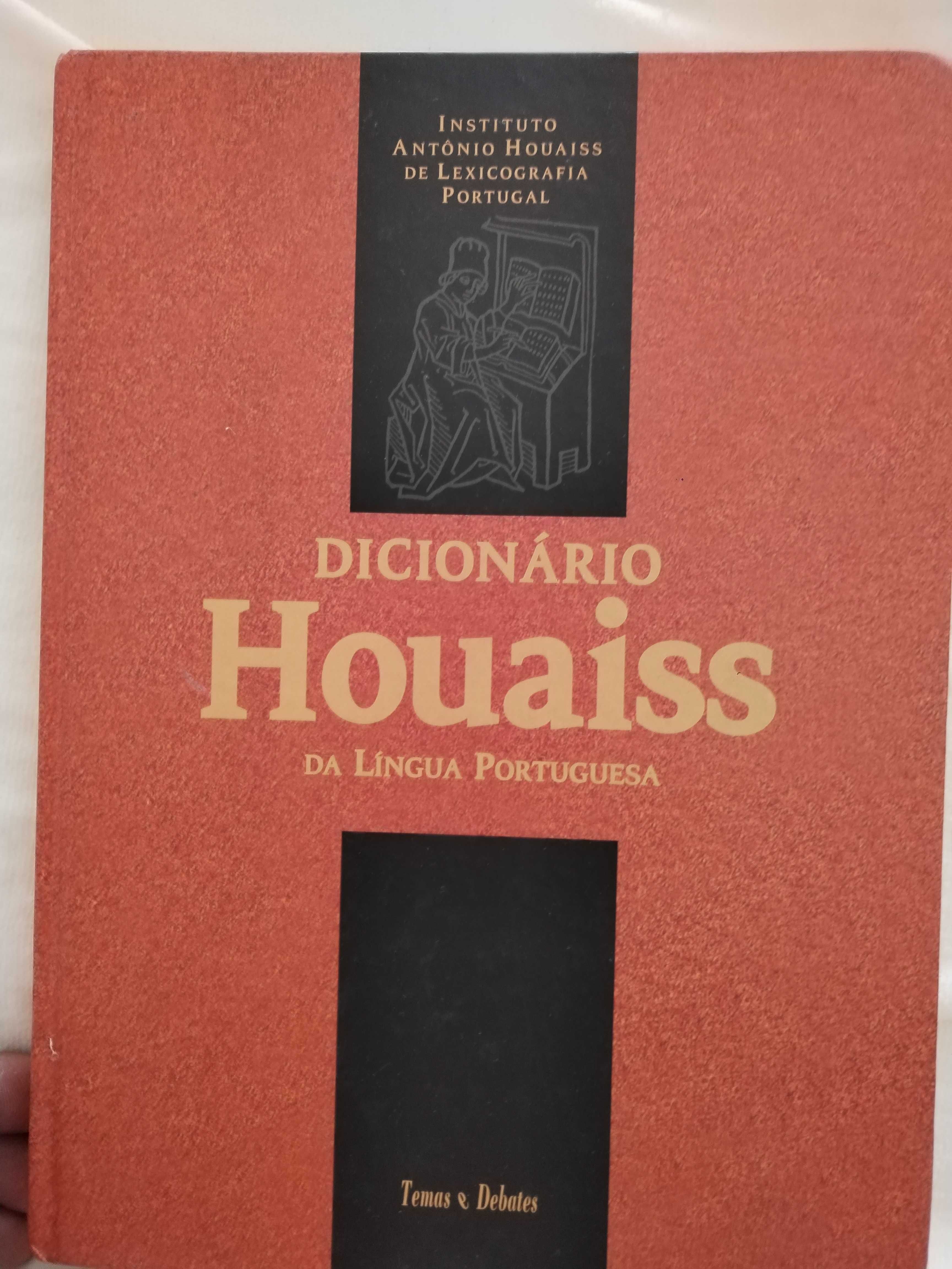 Dicionário houaiss