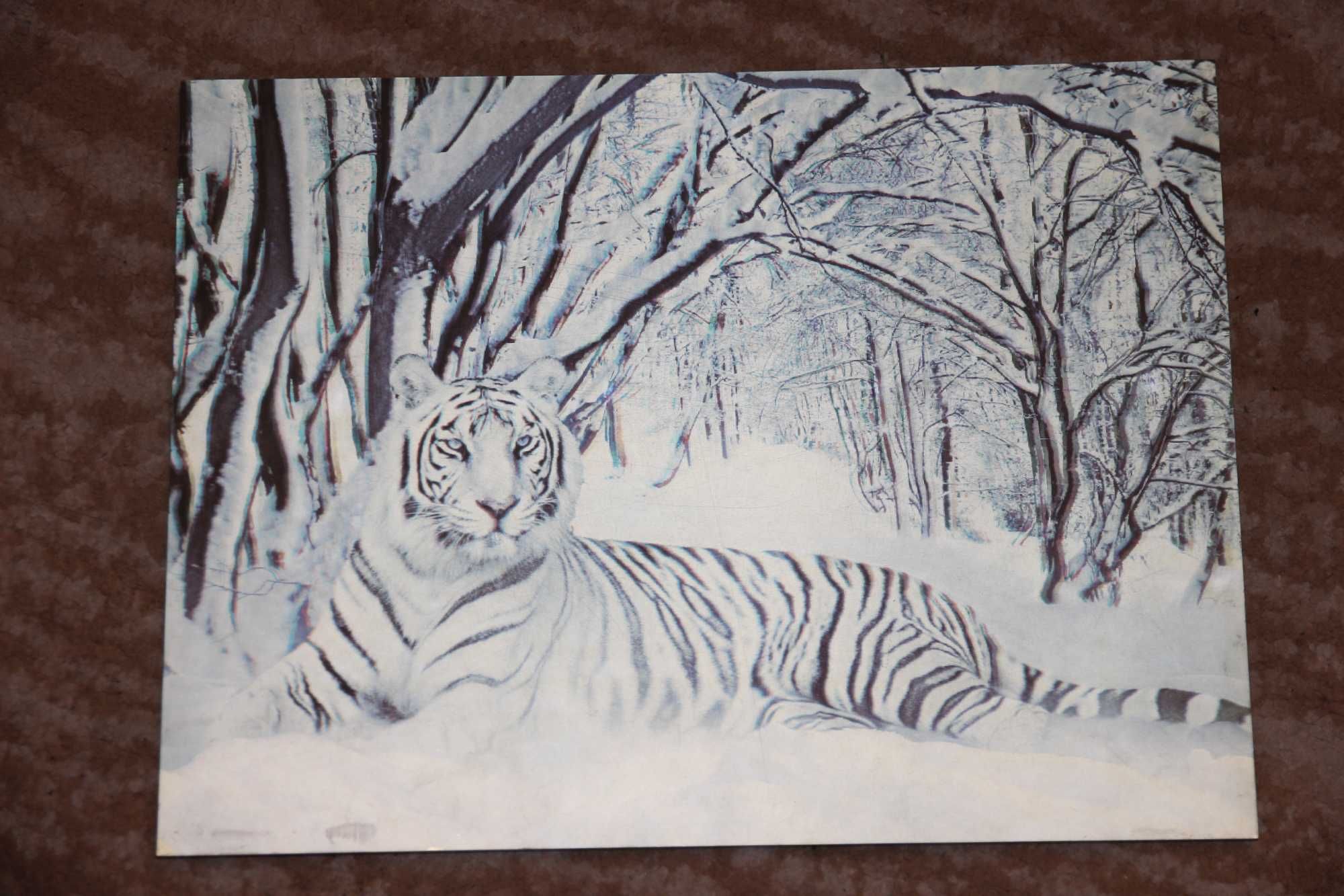Obraz trójwymiarowy natura zwierzęta 30/40 cm