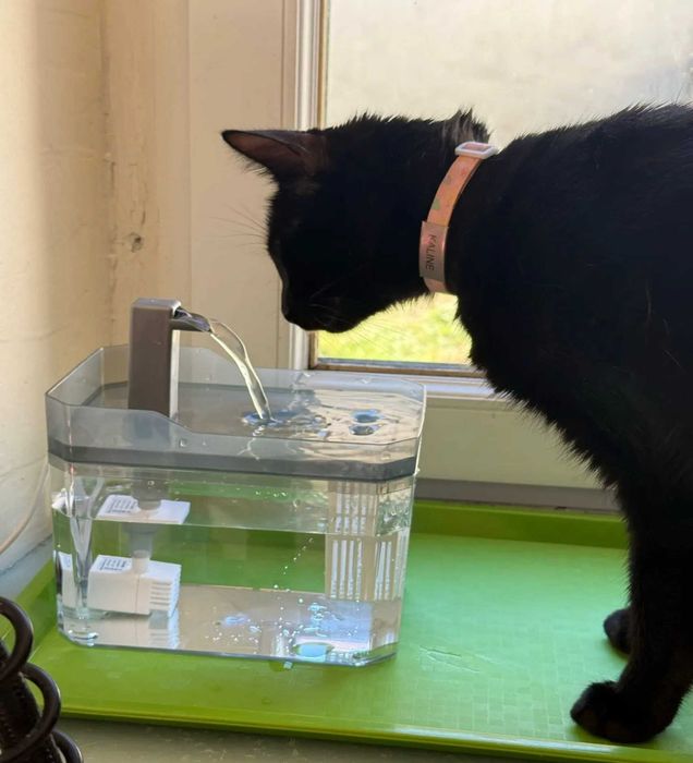 Автоматическая поилка - фонтан для кошек 1,5 л с помпой и фильтром