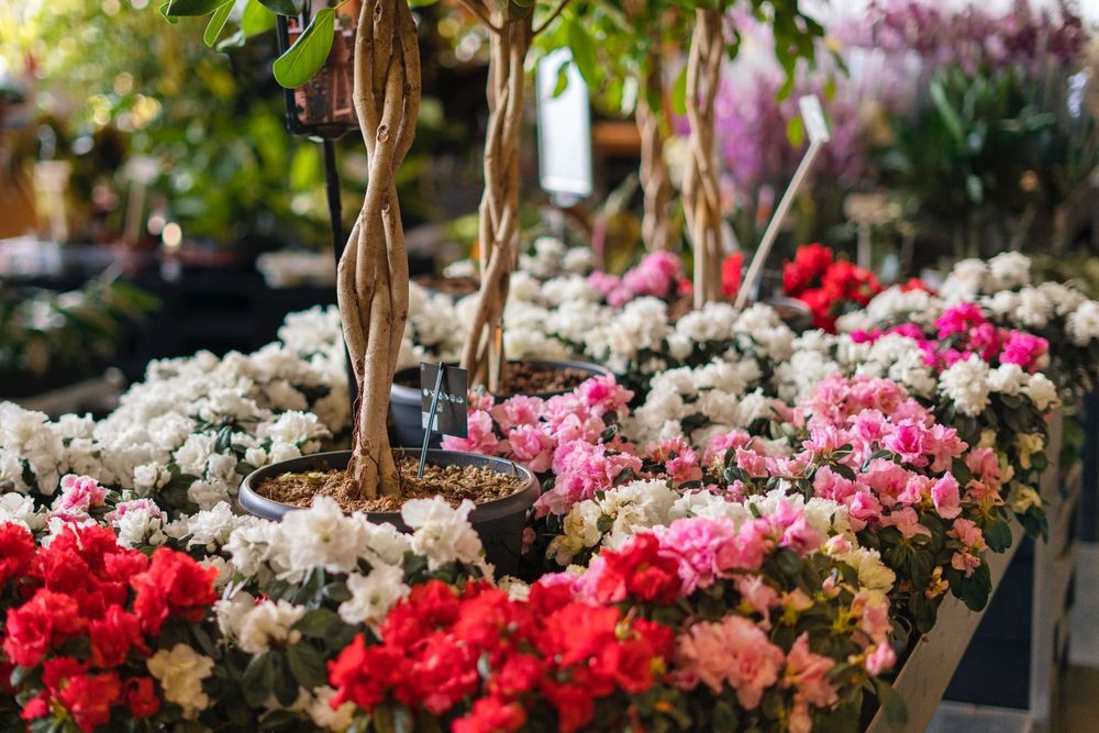 Prace ogrodowe, przygotowanie ogrodu do zimy oraz wiosny