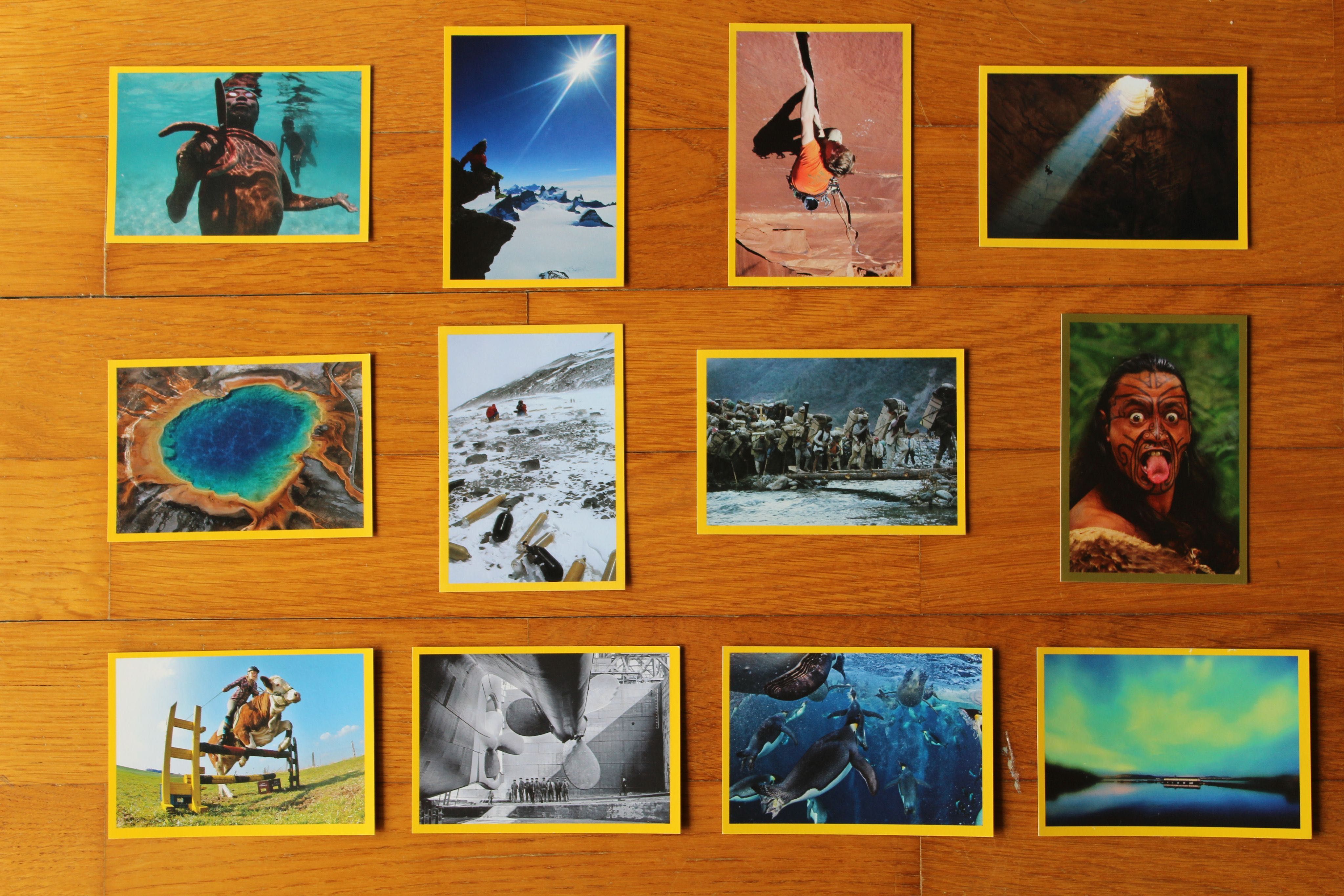 Cromos National Geographic Kids
