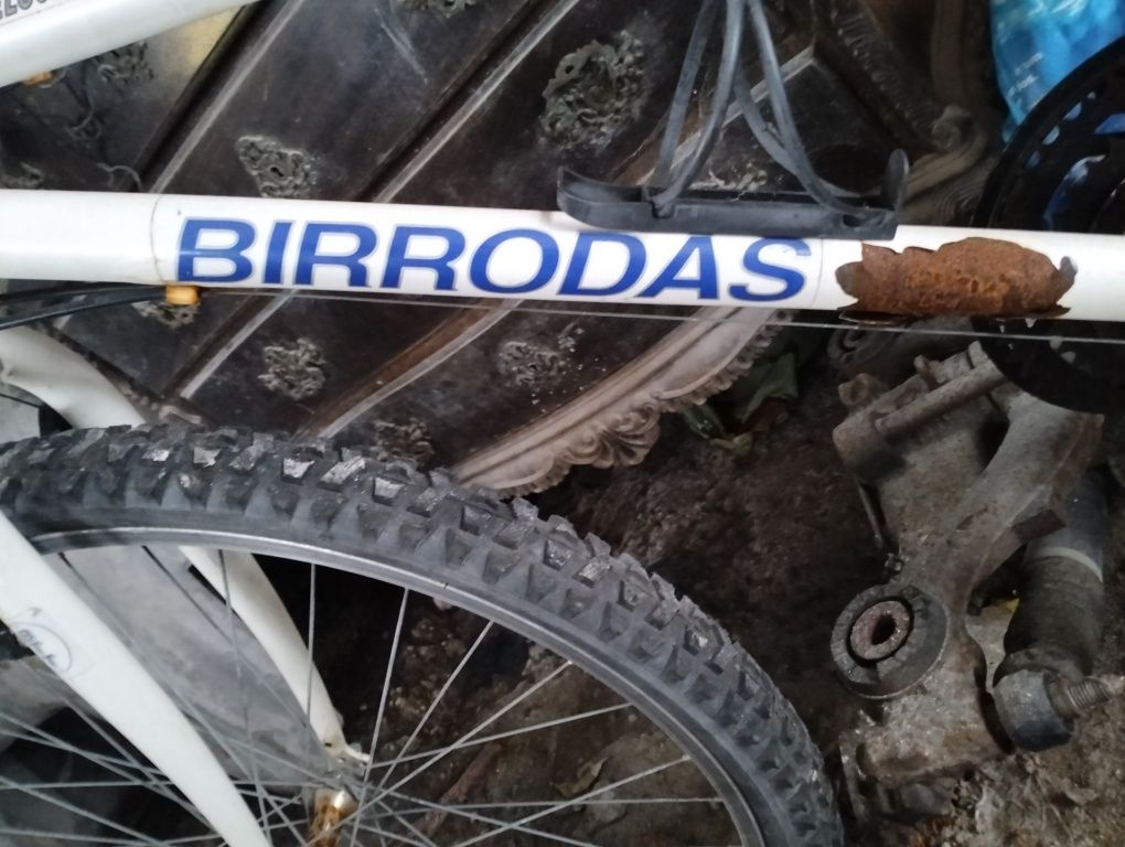 Bicicleta BIrdRodas