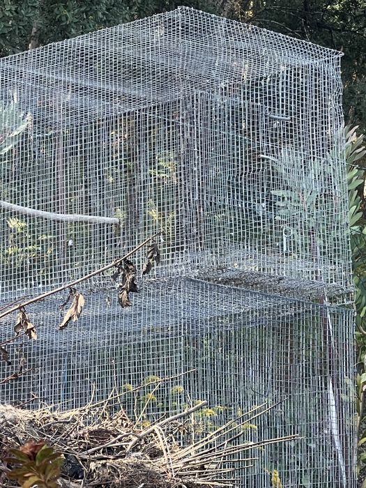 Gaiola para aves