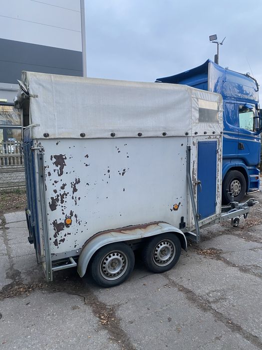 Przyczepka do konia 1.5 Rok 2005