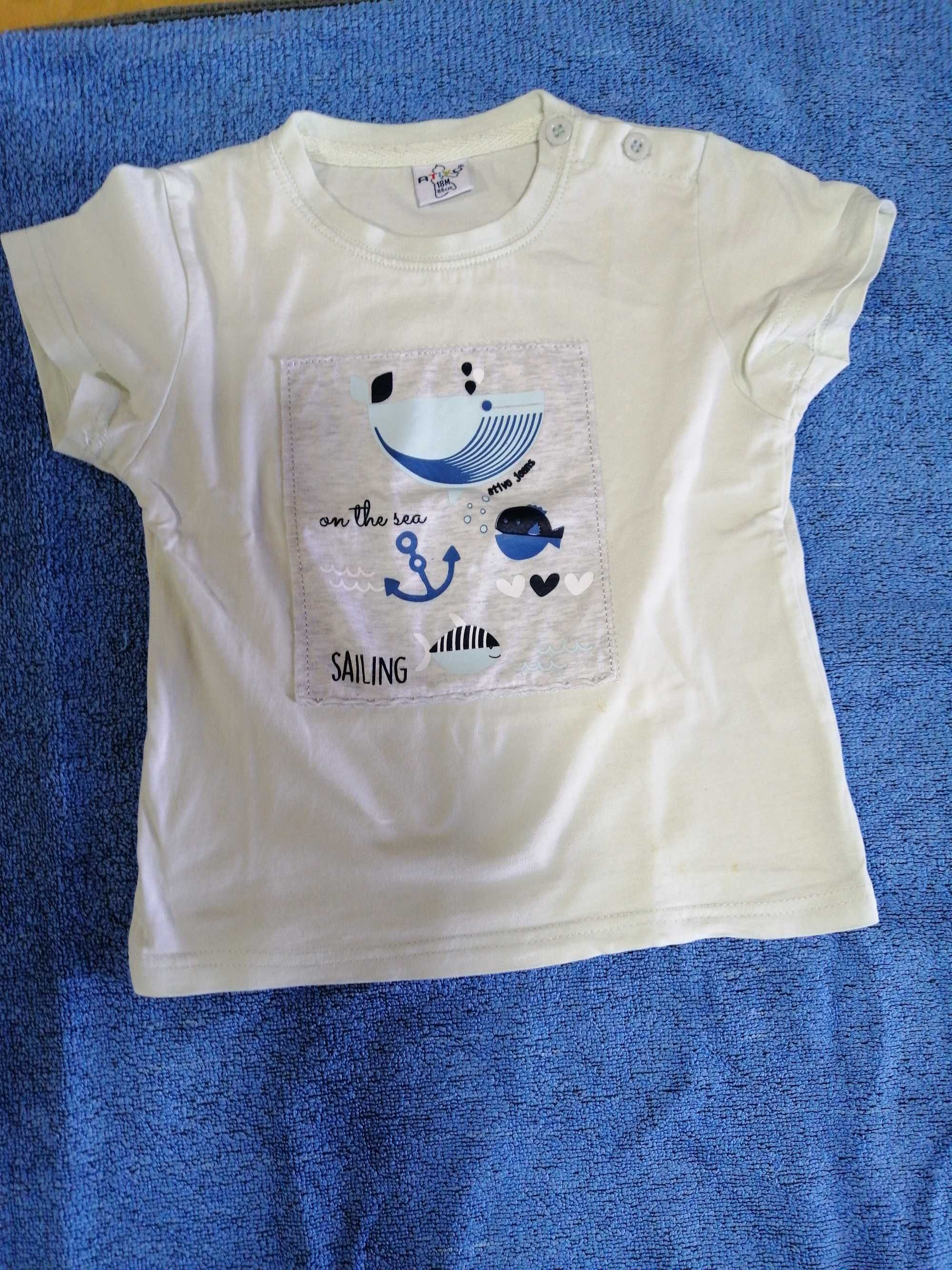 Polo e t-shirt, Prenatal, 12-18 meses