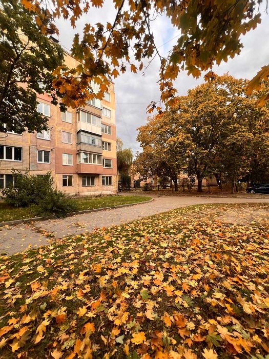 1к на Новомиколаївці з сучасним ремонтом та автономним опаленням, 3/5