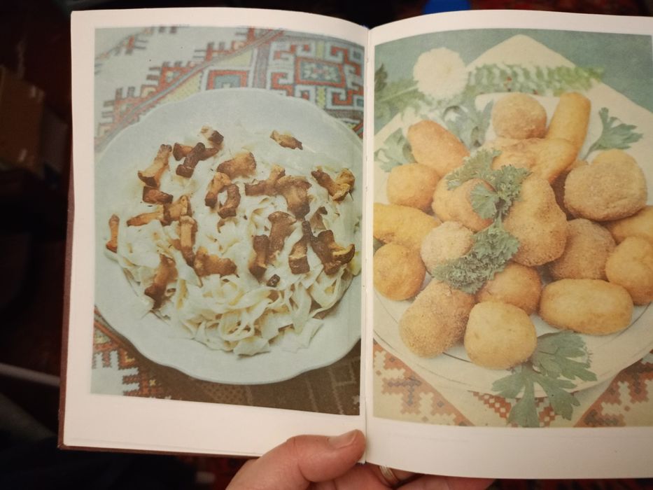 Закарпатські народні страви,книга як нова.