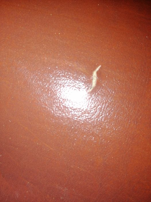 Tapczan używany w dobrym Stanke